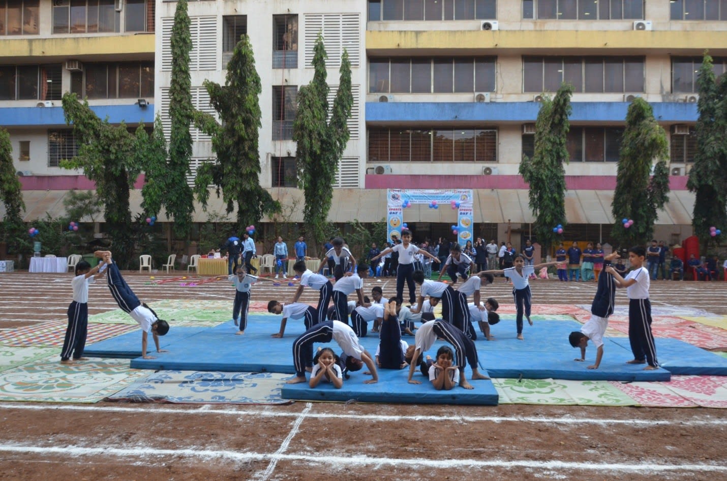 dgkisground